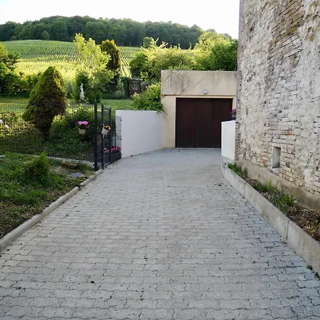 L'ecrin Des Arts - Avec Jardin Au Coeur De La Cote Des Blancs Apartment Avize
