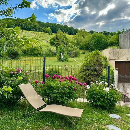 L'ecrin Des Arts - Avec Jardin Au Coeur De La Cote Des Blancs شقة