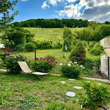 شقة L'ecrin Des Arts - Avec Jardin Au Coeur De La Cote Des Blancs