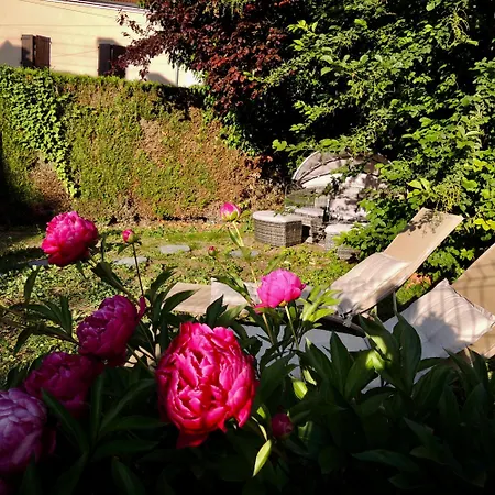 L'ecrin Des Arts - Avec Jardin Au Coeur De La Cote Des Blancs * Avize