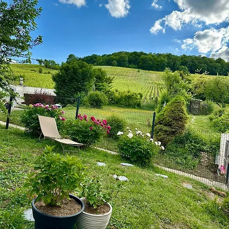 L'ecrin Des Arts - Avec Jardin Au Coeur De La Cote Des Blancs Avize