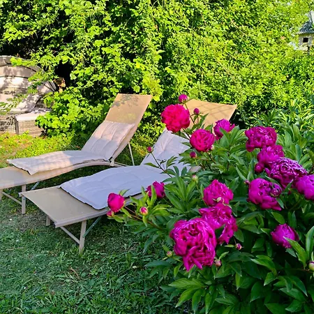 L'ecrin Des Arts - Avec Jardin Au Coeur De La Cote Des Blancs Avize