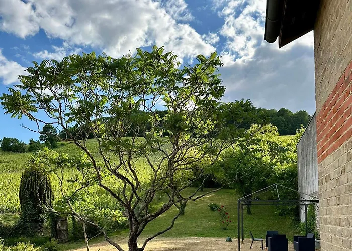 L'ecrin Des Arts - Avec Jardin Au Coeur De La Cote Des Blancs