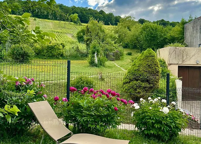 L'ecrin Des Arts - Avec Jardin Au Coeur De La Cote Des Blancs Daire