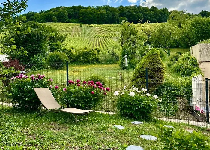 Daire L'ecrin Des Arts - Avec Jardin Au Coeur De La Cote Des Blancs